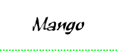 マンゴー